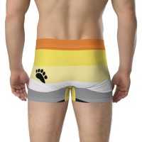 all-over-print-boxer-briefs-white-back-61945f46d6253.jpg